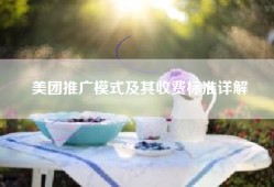 美团推广模式及其收费标准详解