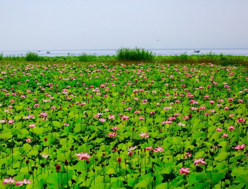 关注热点：济南HPV感染