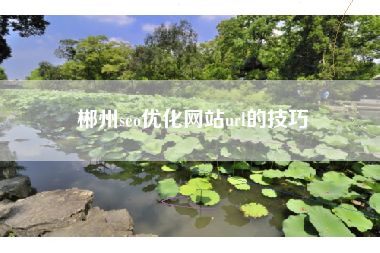 郴州seo优化网站url的技巧