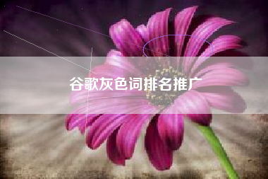 谷歌灰色词排名推广