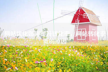 网站优化如何提升转化率，网站转化率低的原因