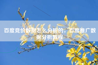 百度竞价数据怎么分析的，百度推广数据分析教程