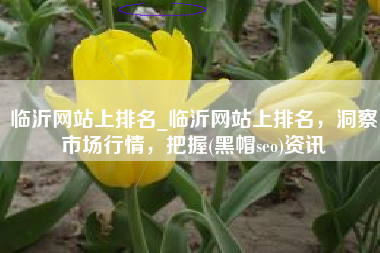 临沂网站上排名_临沂网站上排名，洞察市场行情，把握(黑帽seo)资讯