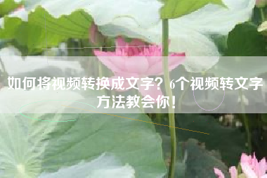 如何将视频转换成文字？6个视频转文字方法教会你！