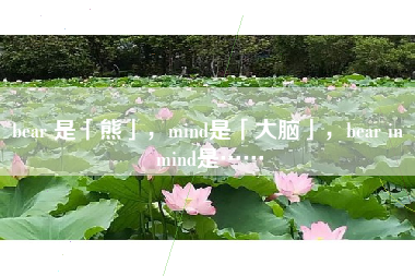 bear 是「熊」，mind是「大脑」，bear in mind是……