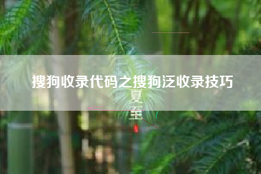 搜狗收录代码之搜狗泛收录技巧