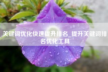 关键词优化快速提升排名_提升关键词排名优化工具