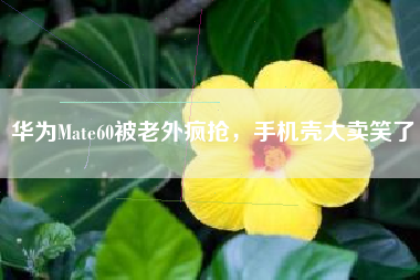 华为Mate60被老外疯抢，手机壳大卖笑了