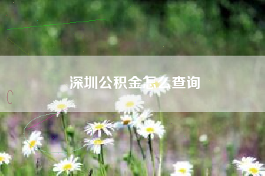 深圳公积金怎么查询
