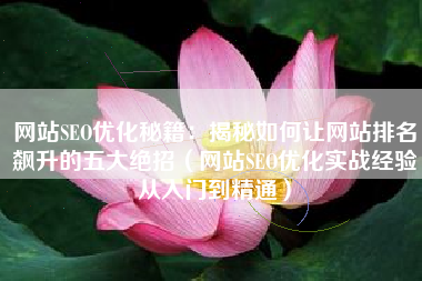 网站SEO优化秘籍：揭秘如何让网站排名飙升的五大绝招（网站SEO优化实战经验从入门到精通）