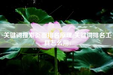 关键词搜索页面排名原理(关键词排名工具怎么用)