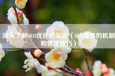 深入了解SEO优化的常识（SEO排名的机制和优化技巧）