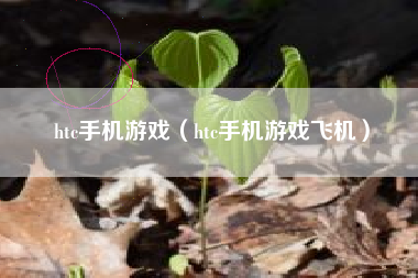 htc手机游戏（htc手机游戏飞机）