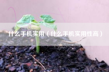 什么手机实用（什么手机实用性高）