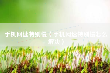 手机网速特别慢（手机网速特别慢怎么解决）