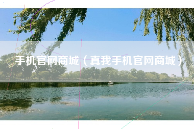 手机官网商城（真我手机官网商城）