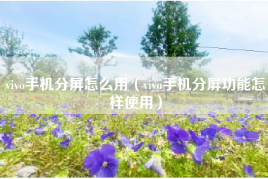 vivo手机分屏怎么用（vivo手机分屏功能怎样使用）