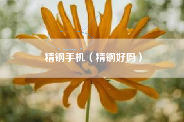 精钢手机（精钢好吗）