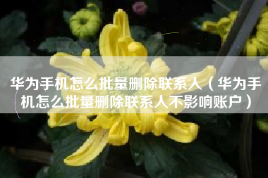华为手机怎么批量删除联系人（华为手机怎么批量删除联系人不影响账户）
