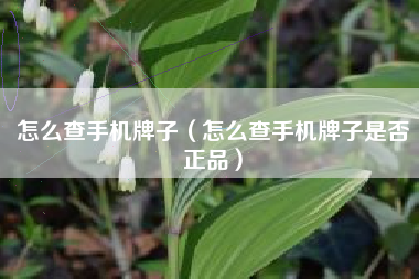 怎么查手机牌子（怎么查手机牌子是否正品）