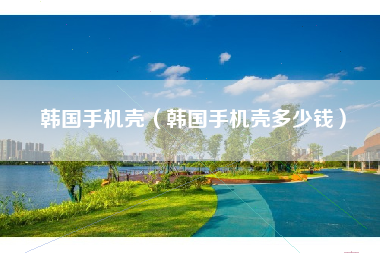 韩国手机壳（韩国手机壳多少钱）