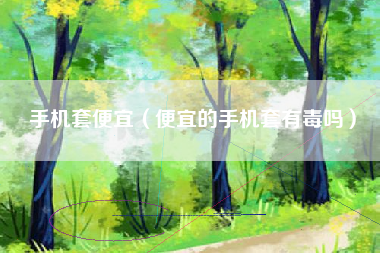 手机套便宜（便宜的手机套有毒吗）