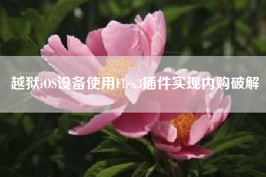 越狱iOS设备使用Flex3插件实现内购破解