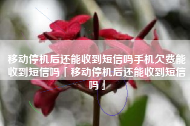 移动停机后还能收到短信吗手机欠费能收到短信吗「移动停机后还能收到短信吗」
